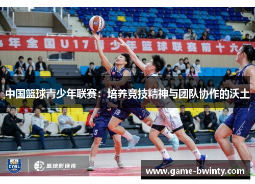 中国篮球青少年联赛：培养竞技精神与团队协作的沃土