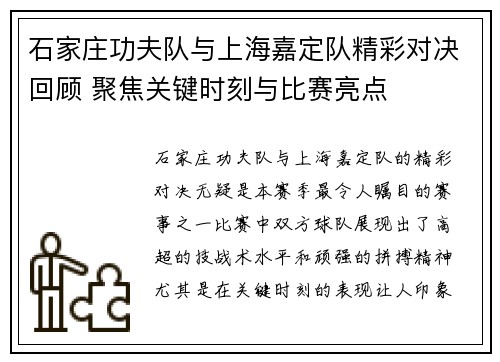 石家庄功夫队与上海嘉定队精彩对决回顾 聚焦关键时刻与比赛亮点